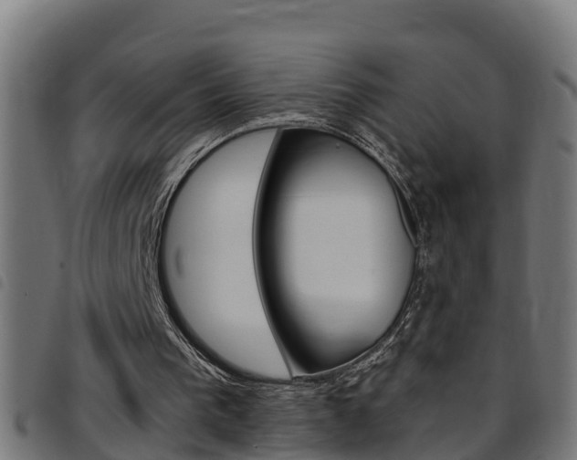X0000097790193200803070943