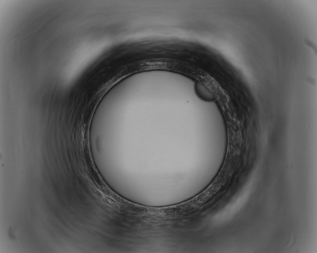 X0000097790194200803070943