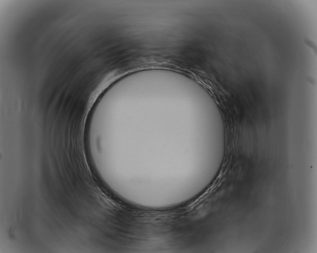 X0000097790195200803070943