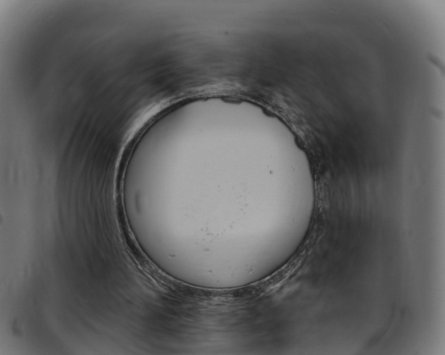 X0000097790196200803070943
