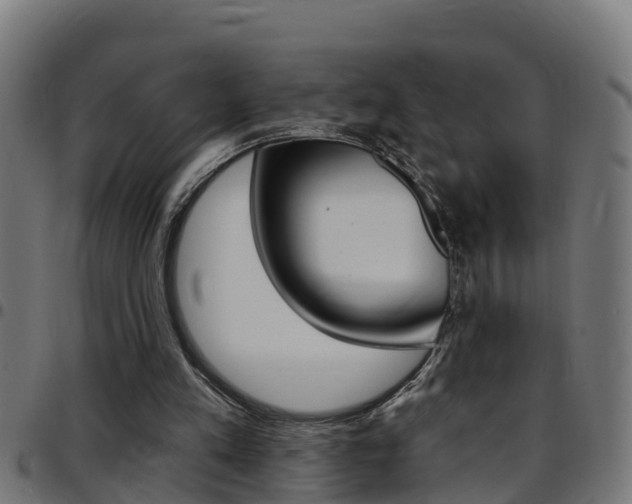 X0000097790197200803070943