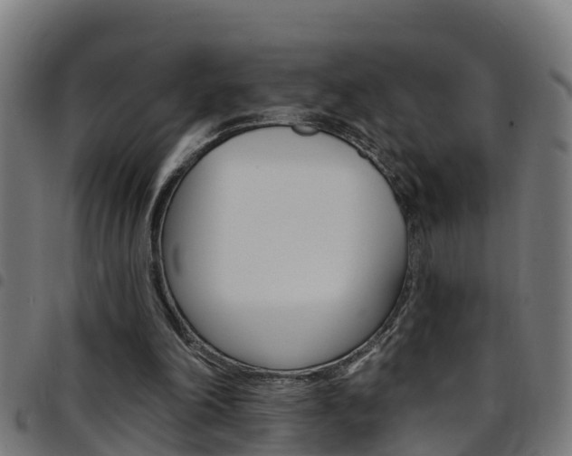 X0000097790198200803070943