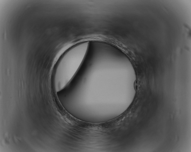X0000097790200200803070943