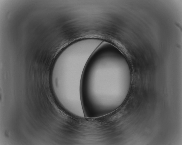 X0000097790201200803070943