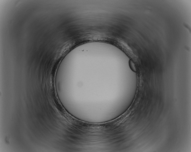 X0000097790202200803070943