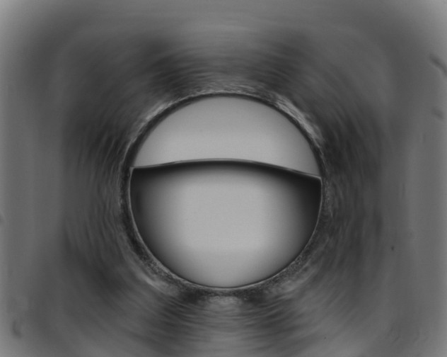 X0000097790203200803070943