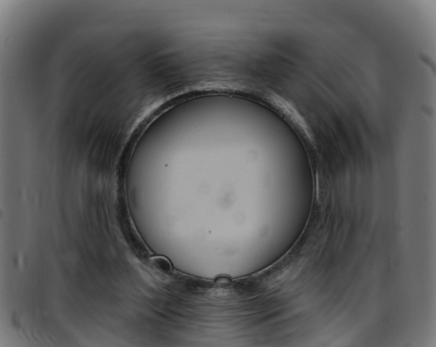 X0000097790204200803070943