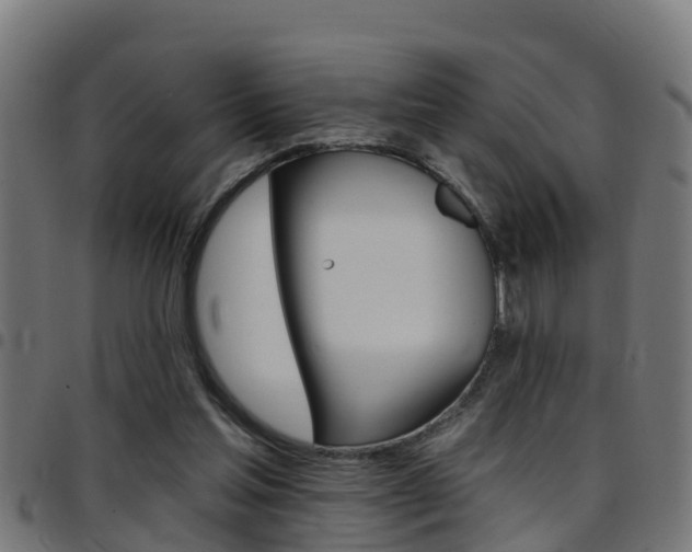X0000097790205200803070943