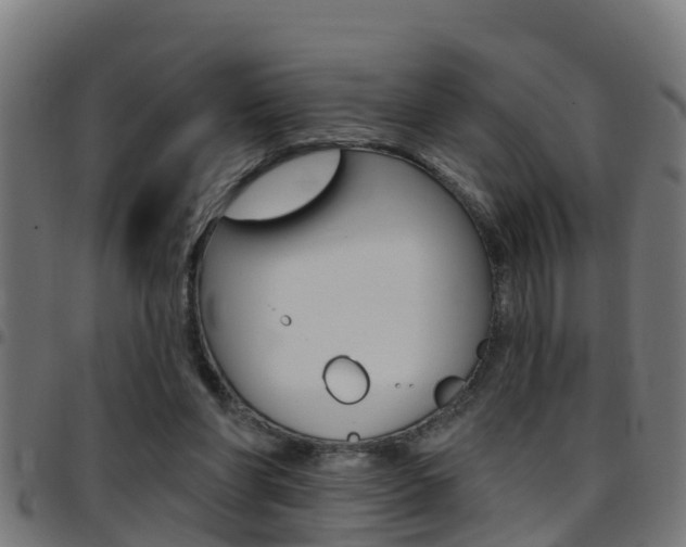 X0000097790206200803070943
