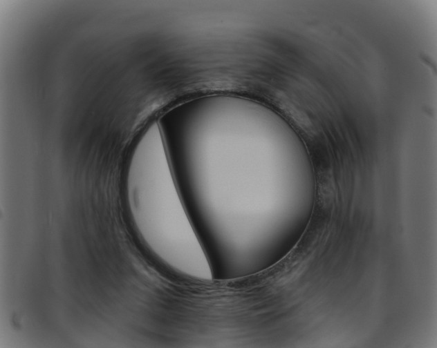 X0000097790207200803070943