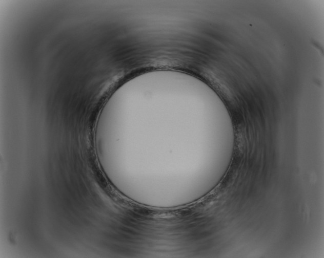 X0000097790208200803070943