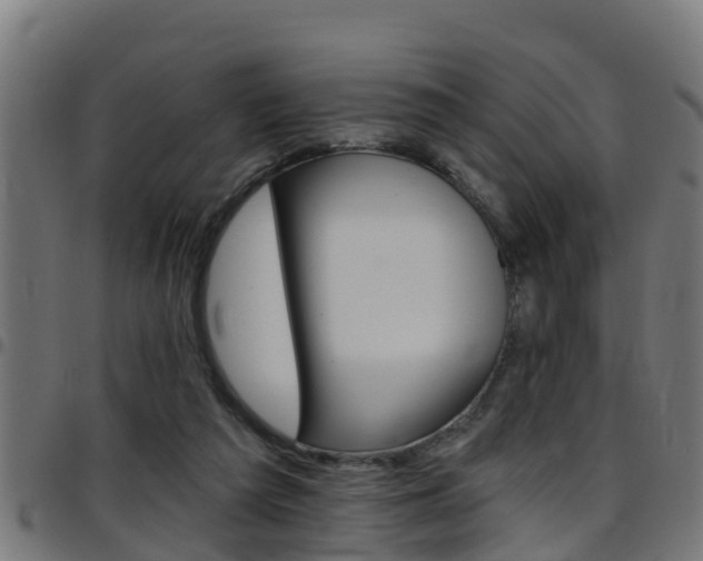 X0000097790209200803070943