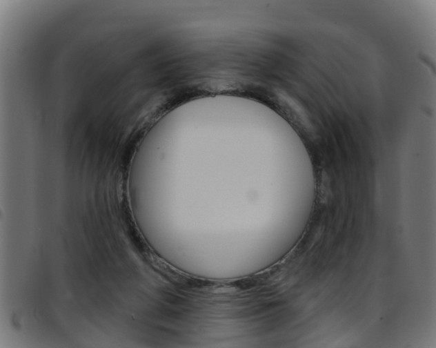 X0000097790210200803070943