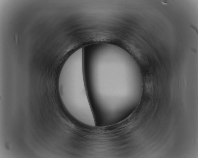 X0000097790211200803070943