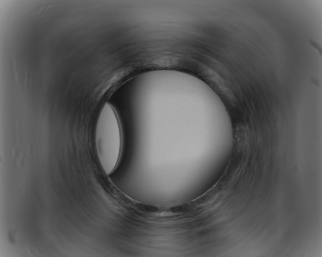 X0000097790212200803070943