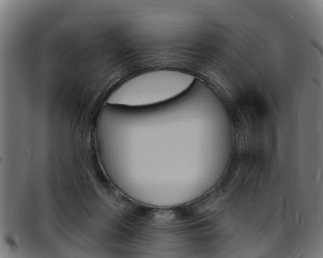 X0000097790214200803070943