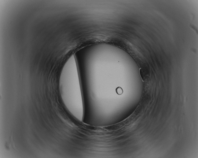 X0000097790215200803070942