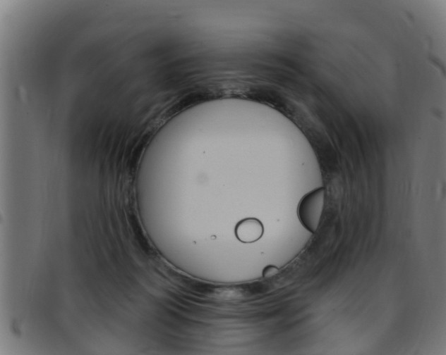 X0000097790218200803070942