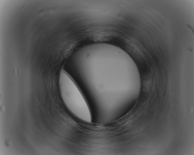 X0000097790219200803070942