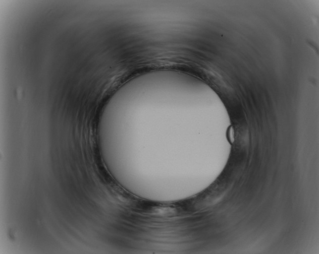 X0000097790220200803070942