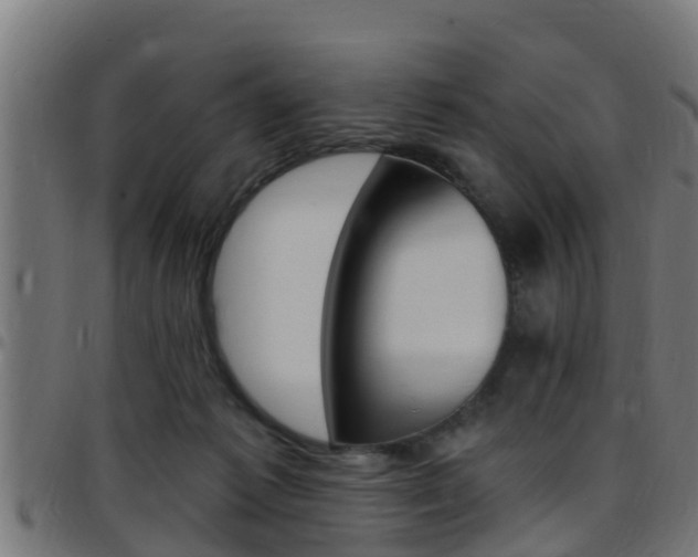 X0000097790221200803070942