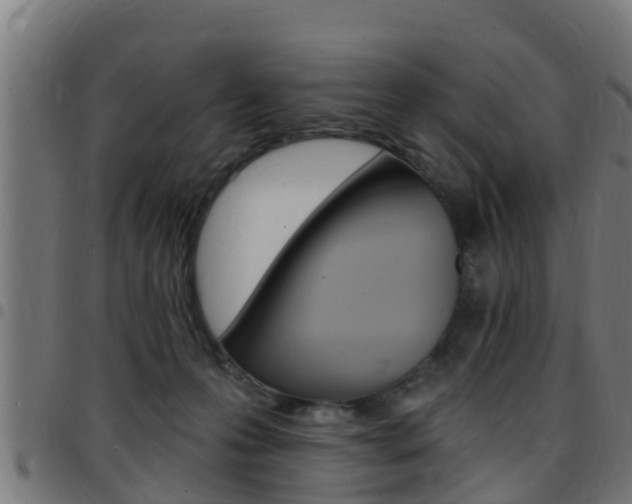 X0000097790223200803070942
