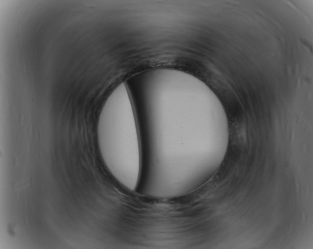 X0000097790224200803070942
