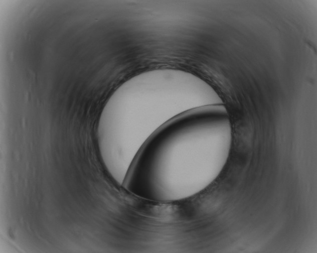 X0000097790225200803070942