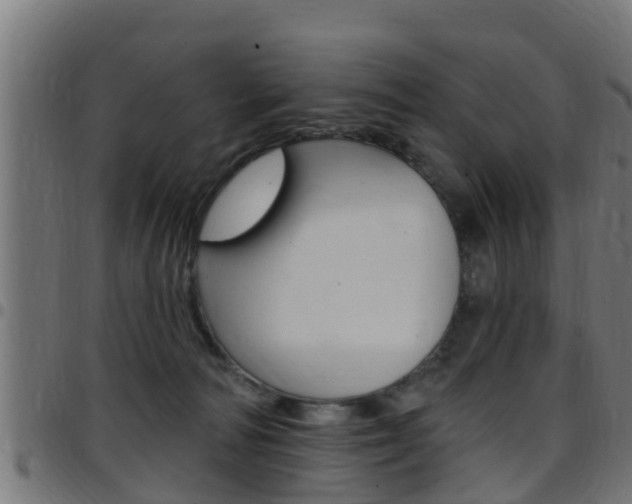 X0000097790226200803070942