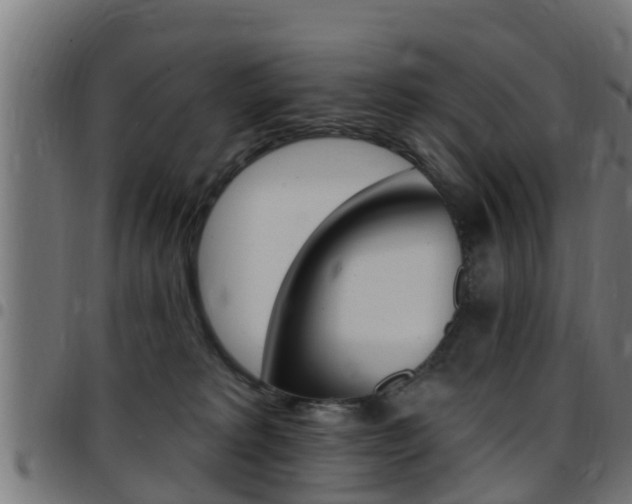 X0000097790229200803070942