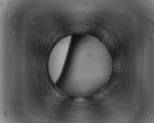 X0000097790231200803070942