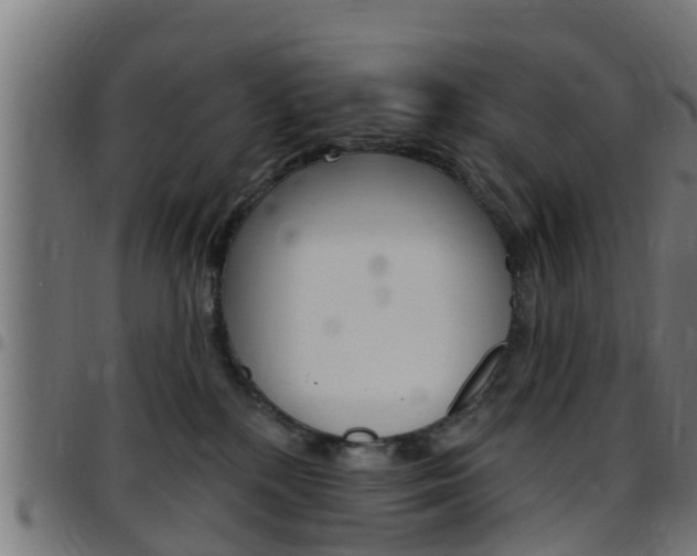 X0000097790232200803070942