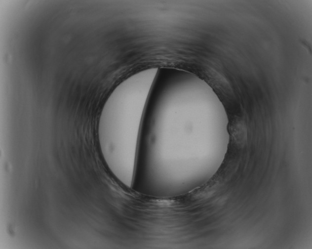 X0000097790233200803070942