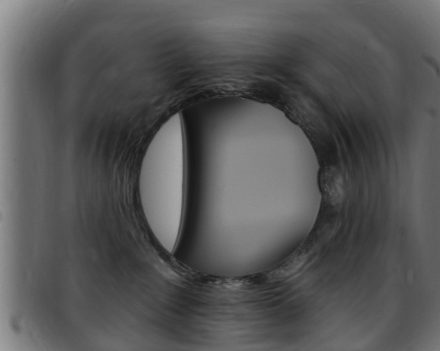 X0000097790235200803070942