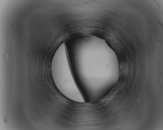 X0000097790237200803070942