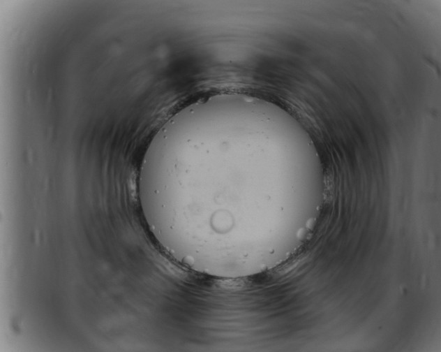 X0000097790238200803070942