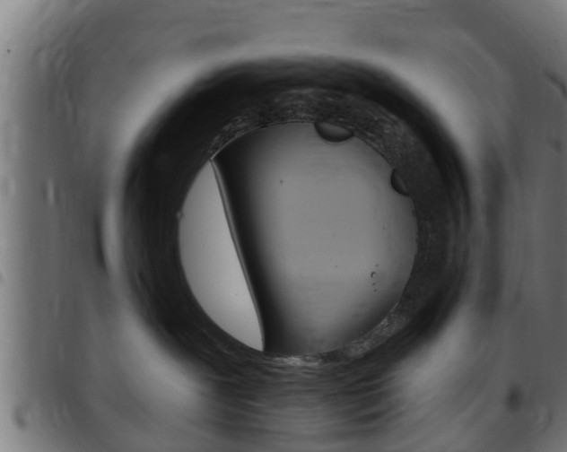 X0000097790239200803070942