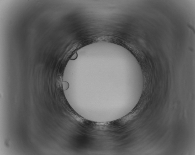 X0000097790240200803070942