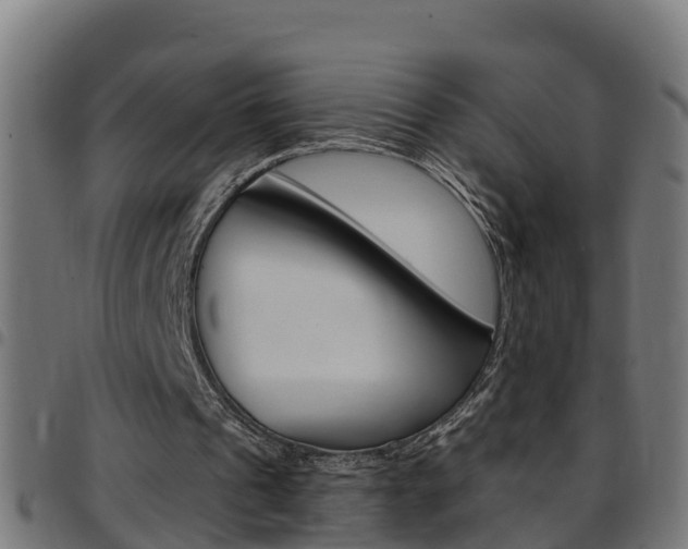 X0000097790241200803070941