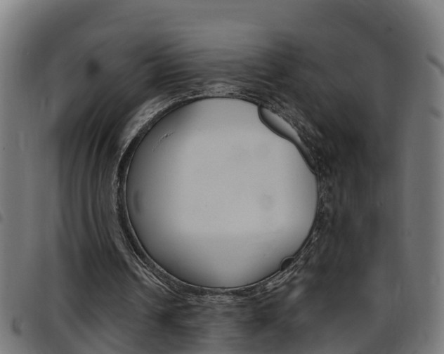 X0000097790242200803070941