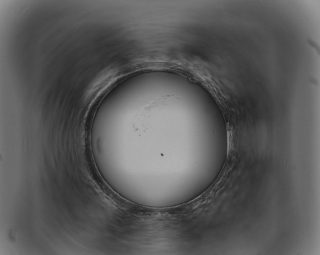 X0000097790243200803070941