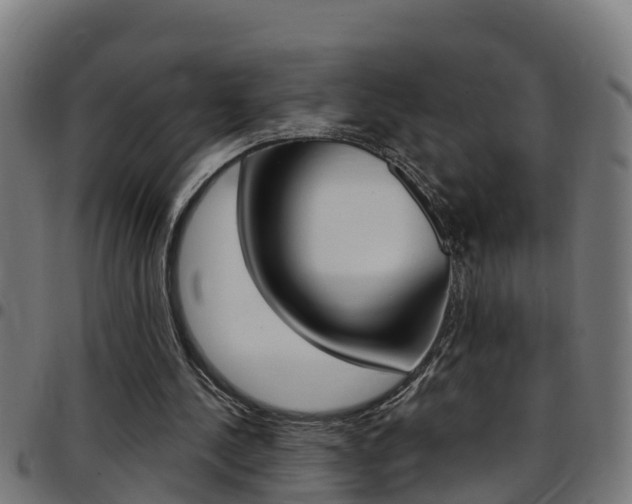 X0000097790244200803070941