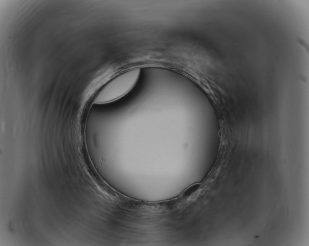 X0000097790245200803070941