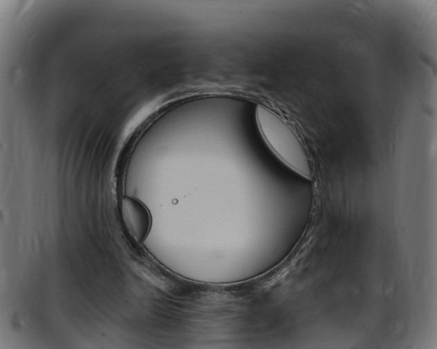 X0000097790246200803070941