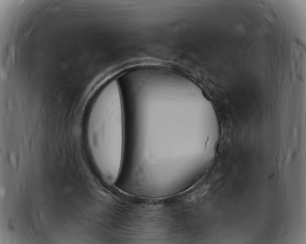 X0000097790247200803070941