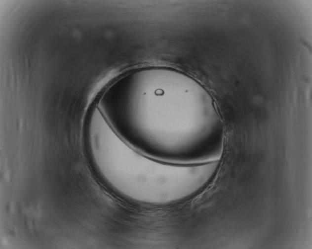 X0000097790248200803070941