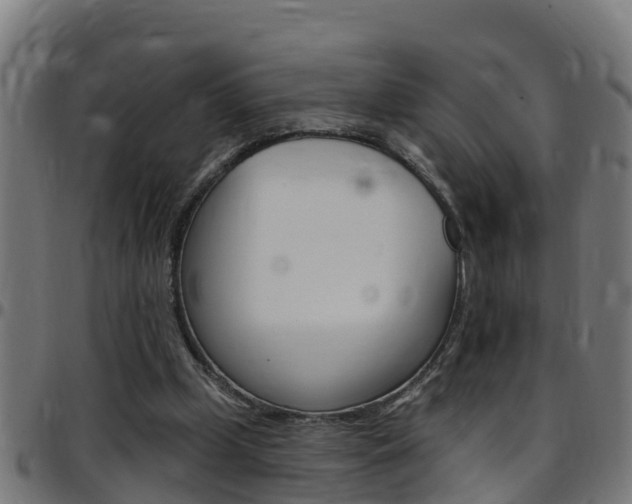 X0000097790249200803070941