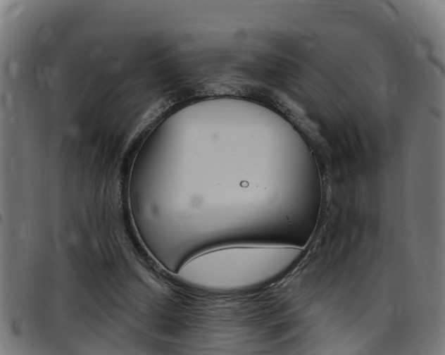 X0000097790250200803070941
