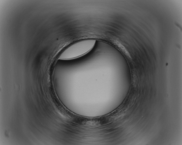 X0000097790251200803070941