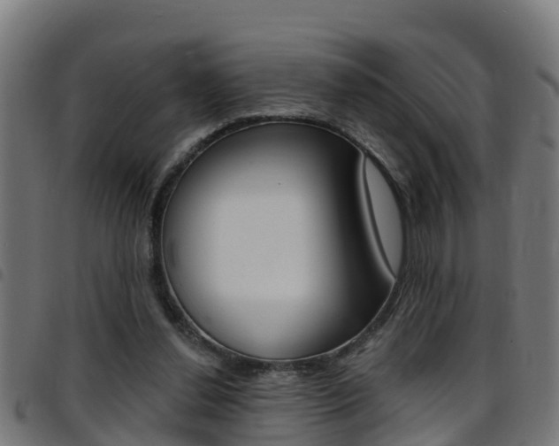 X0000097790252200803070941